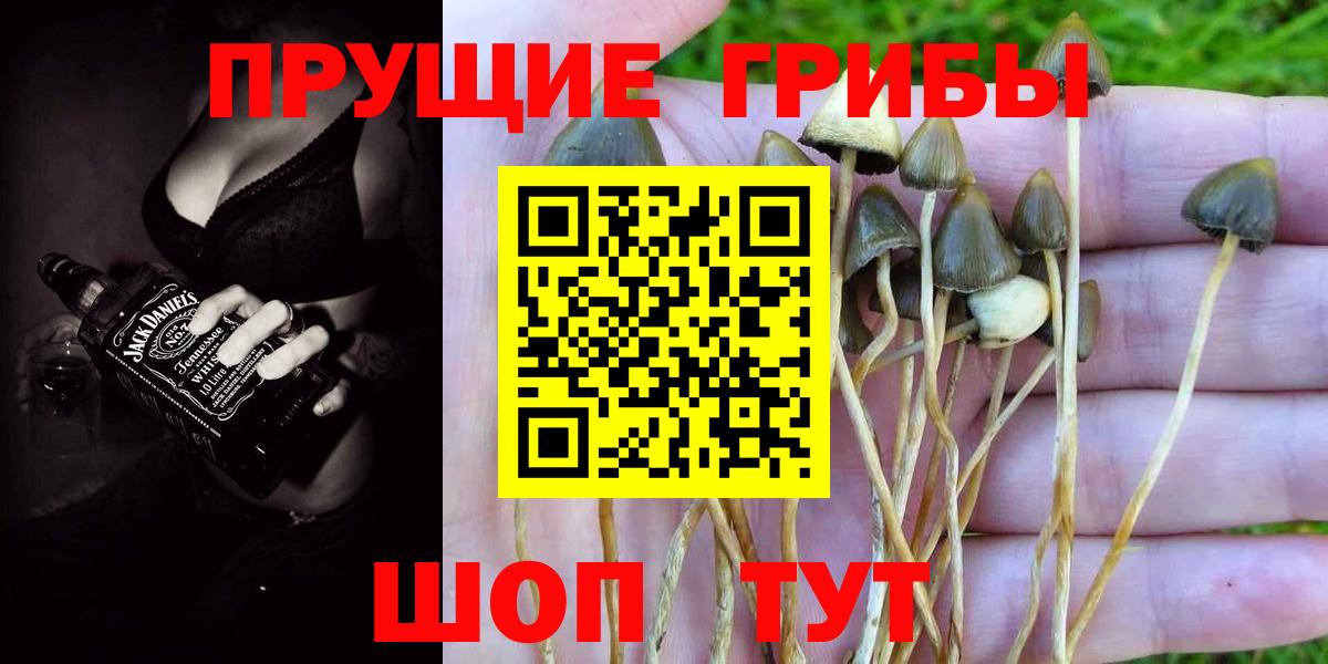 Искитим  Галлюциногенные грибы мицелий  Вход с VPN 
